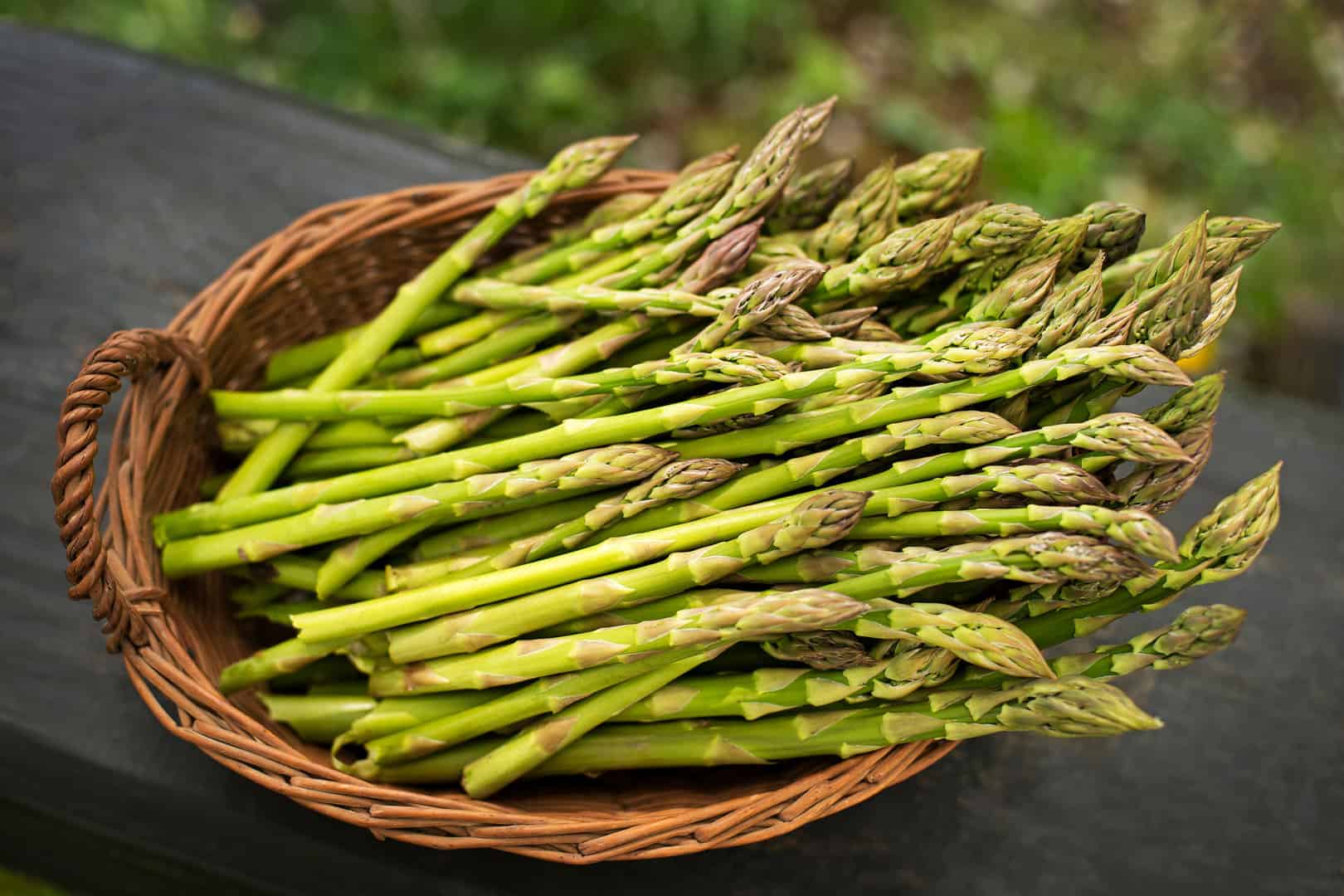 asparagus asparagus
