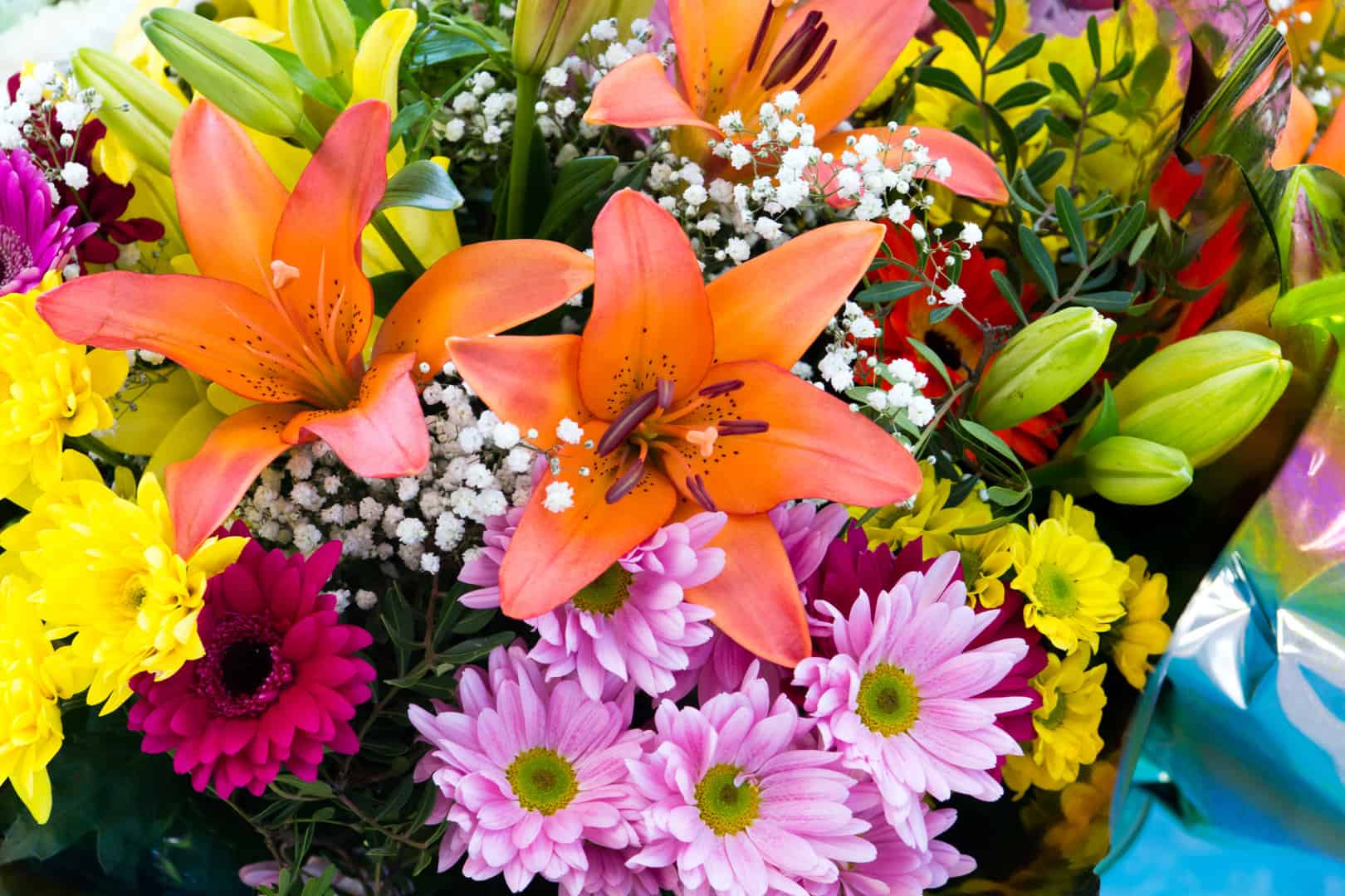 flowers jacksons flowers jacksons