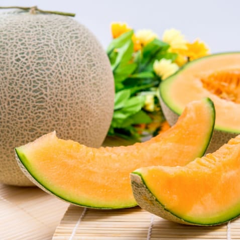 cantaloupe cantaloupe